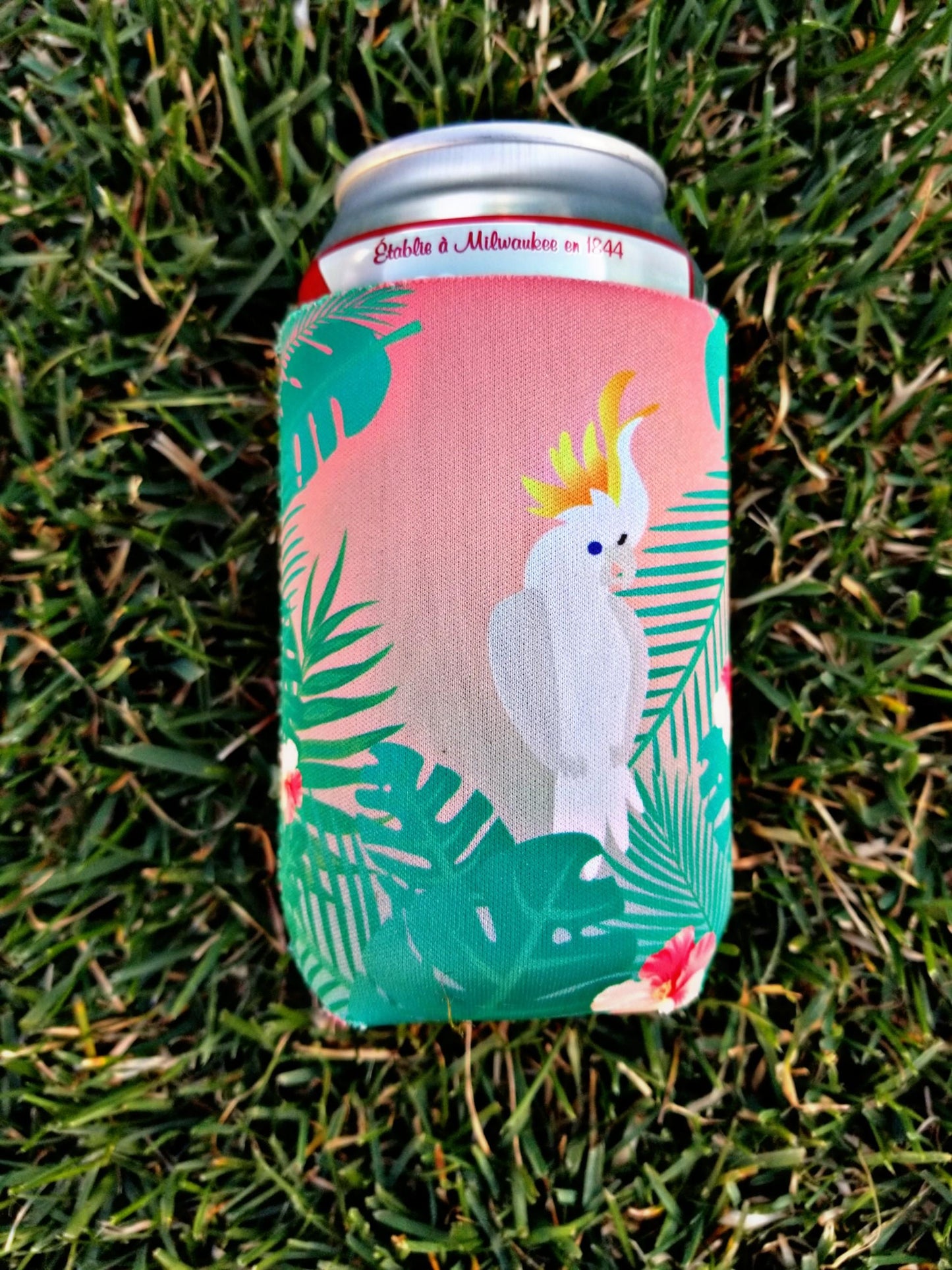 Tropical State of Mind